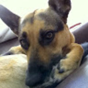 Meet your Posher, Gigi